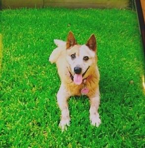 Meet your Posher, Marie